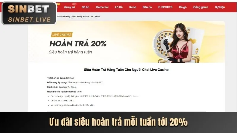 Hướng dẫn cá cược thể thao cho người mới bắt đầu tại Betway Casino Online